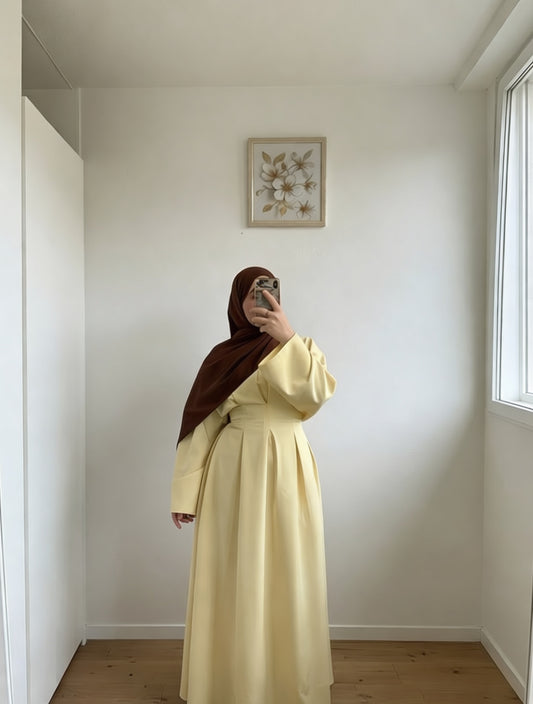 Elegant Modest Dress